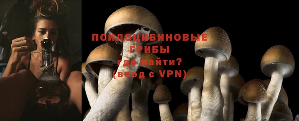 шишки Весьегонск