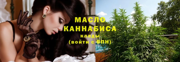 МДПВ Нея