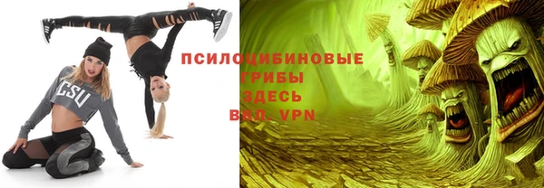 ГАЛЛЮЦИНОГЕННЫЕ ГРИБЫ Новокубанск
