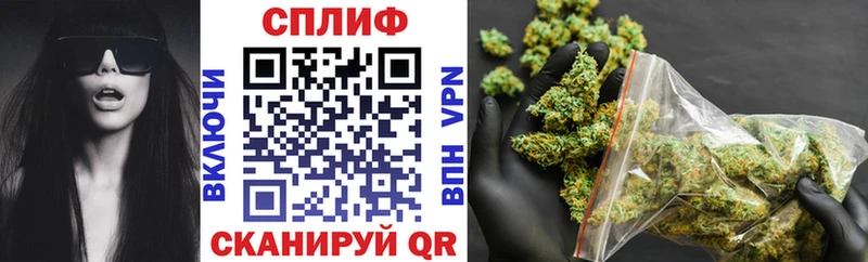 Конопля семена  хочу   гидра ссылка  Пучеж 
